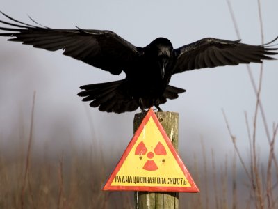One-day private tour (Chernobyl + Pripyat) from Kiev