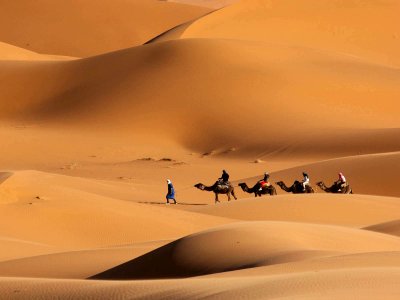 Dubai Sunrise Camel Trekking